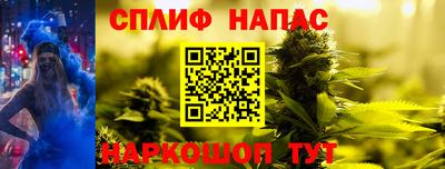 мдпв Можга