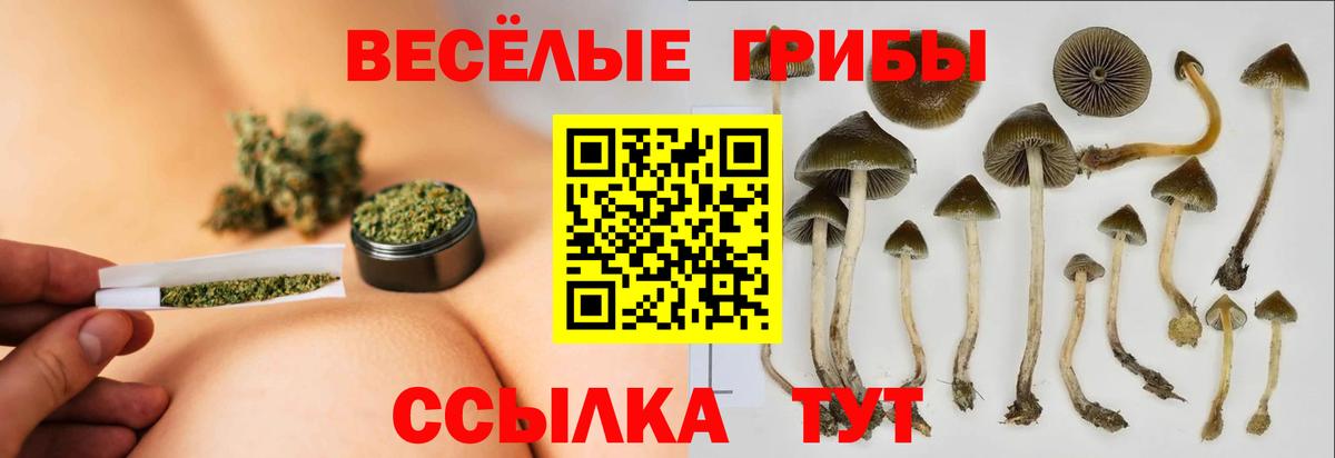 Галлюциногенные грибы мухоморы Подольск